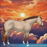 Horse Color:Red Dun 