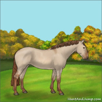 Horse Color:Red Dun 