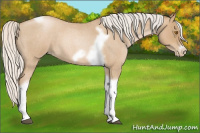 Horse Color:Silver Blue Roan Pearl Tobiano Frame 
