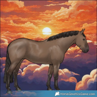 Horse Color:Liver Red Dun 