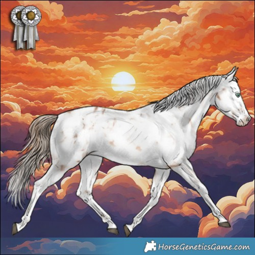 Horse Color:Brown Pearl Tobiano Appaloosa Rabicano 