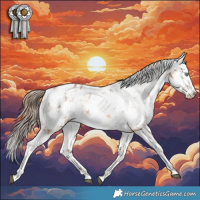 Horse Color:Brown Pearl Tobiano Appaloosa Rabicano 