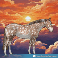 Horse Color:Black Pearl Tobiano Appaloosa Rabicano 