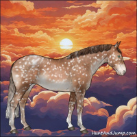 Horse Color:Bay Snowdrop Pearl Tobiano Blanket Rabicano 