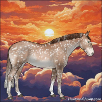Horse Color:Bay Pearl Tobiano Appaloosa Rabicano 