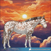 Horse Color:Brown Snowdrop Pearl Tobiano Snowflake Varnish Rabicano  and Black Snowdrop Pearl Tobiano Snowflake VarnishRabicano 