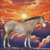 Horse Color:Black Pearl Tobiano Appaloosa Rabicano 