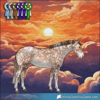 Horse Color:Black Pearl Tobiano Appaloosa Rabicano  and Bay Pearl Tobiano Appaloosa Rabicano 