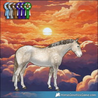 Horse Color:Black Snowdrop Pearl Tobiano Appaloosa Rabicano  and Bay Snowdrop Pearl Tobiano Appaloosa Rabicano 