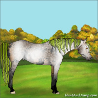 Horse Color:Gray Void Painted White Spotted Buckskin Dun 