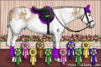 Horse Color:Gray Plaid  White Spotted Palomino Splash 