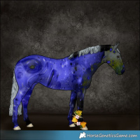 Horse Color:ERROR: UNKNOWN ANOMALY