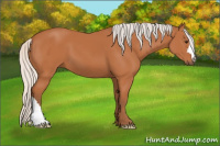 Horse Color:Silver Bay 