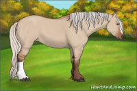 Horse Color:Silver Bay Dun 
