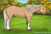 Horse Color:Silver Bay Dun 