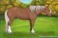 Horse Color:Silver Bay 