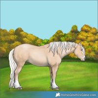 Horse Color:Silver Buckskin Pearl 