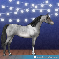 Horse Color:Platinum Brown Roan Tobiano Rabicano 