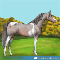 Horse Color:Brown Tobiano Varnish 