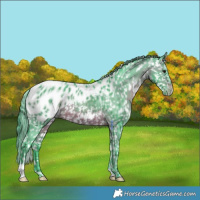 Horse Color:Watercolor Chocolate Brown Appaloosa 