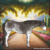 Horse Color:White Spotted Smoky Black 