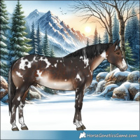 Horse Color:White Spotted Brown Rabicano 