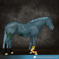 Horse Color:ERROR: UNKNOWN ANOMALY