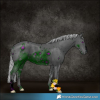 Horse Color:ERROR: UNKNOWN ANOMALY