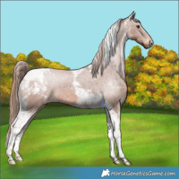 Horse Color:Chestnut Tobiano Snowcap 