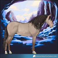 Horse Color:Sable Champagne Dun 