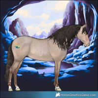 Horse Color:Sable Champagne Dun