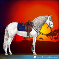 Horse Color:Perlino Sabino and Perlino Sabino