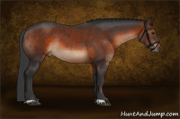 Horse Color:Brown Rabicano 