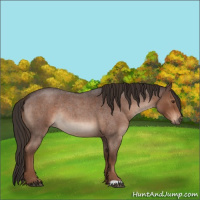 Horse Color:Liver Red Roan Rabicano 