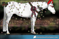 Horse Color:Smoky Black Splash Tobiano Rabicano 