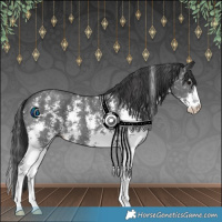 Horse Color:Black Sabino 