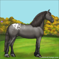 Horse Color:Grullo Blanket 