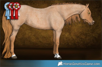 Horse Color:Red Roan 