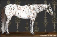 Horse Color:Smoky Blue Roan Near Leopard  and Sable Champagne Tobiano Leopard 