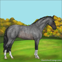 Horse Color:Brown Roan