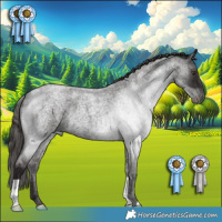 Horse Color:Liver Red Roan 