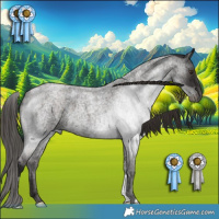 Horse Color:Liver Red Roan 