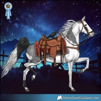 Horse Color:Blue Roan  and Gray Black Near Fewspot 