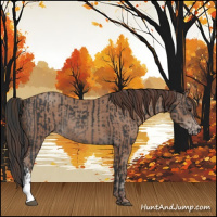 Horse Color:Black  and Classic Champagne 