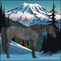 Horse Color:Blue Roan  and Blue Roan 