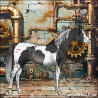 Horse Color:Black Splash Tobiano Rabicano