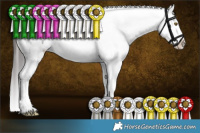 Horse Color:Brown Roan Sabino Appaloosa 