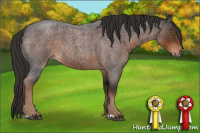 Horse Color:Liver Red Roan 