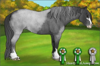 Horse Color:Blue Roan Sabino 