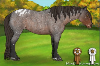 Horse Color:Liver Red Roan Appaloosa Rabicano 